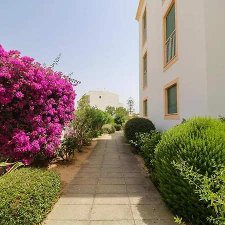 Sea Shell * البوفيرا